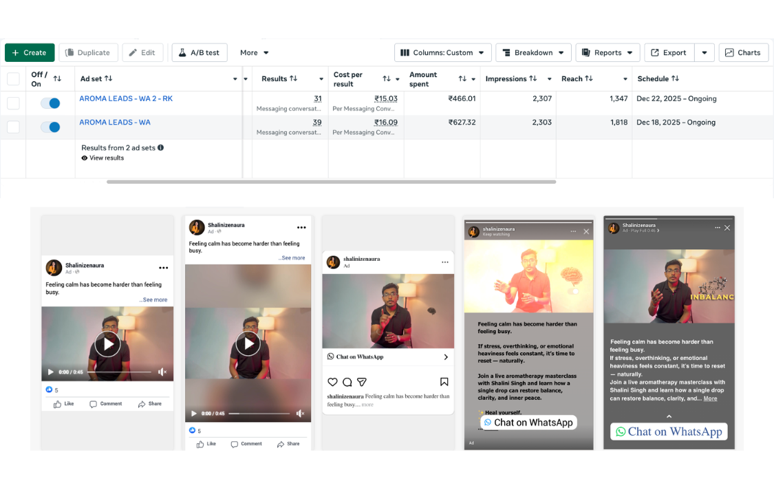 Advertising Campaign 2